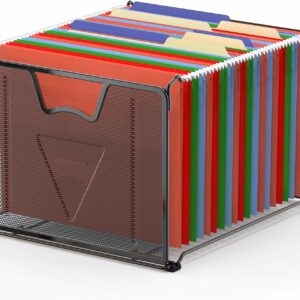 Mesh Hanging File Organizer